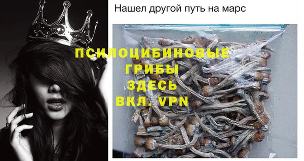 мяу мяу мука Михайлов