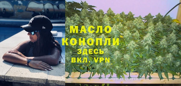 мяу мяу мука Михайлов