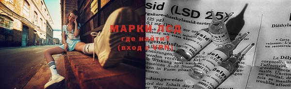 мяу мяу мука Михайлов