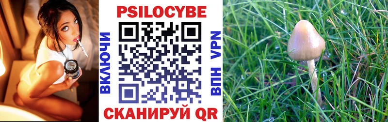 где купить наркотик  Торопец  Галлюциногенные грибы GOLDEN TEACHER 