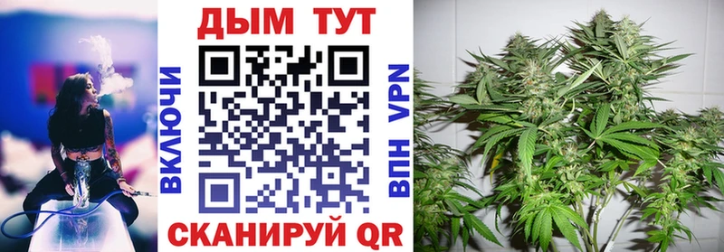 Конопля тримм  купить   Торопец 
